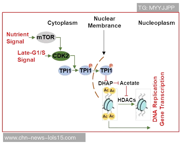 南京攀岩队在团队协作排名中创新高展现团结拼搏精神